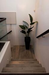 Blk 145 Eunos Spring (Bedok), HDB Executive #470787131